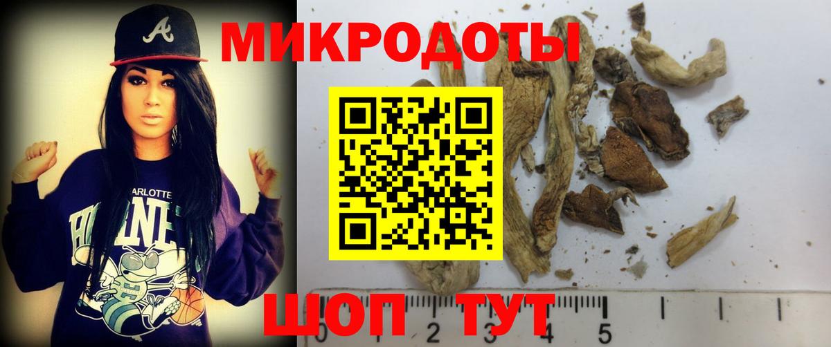 купить наркотики сайты  Псилоцибиновые грибы Cubensis  Каменка  Вход с VPN  Псилоцибиновые грибы мухоморы 